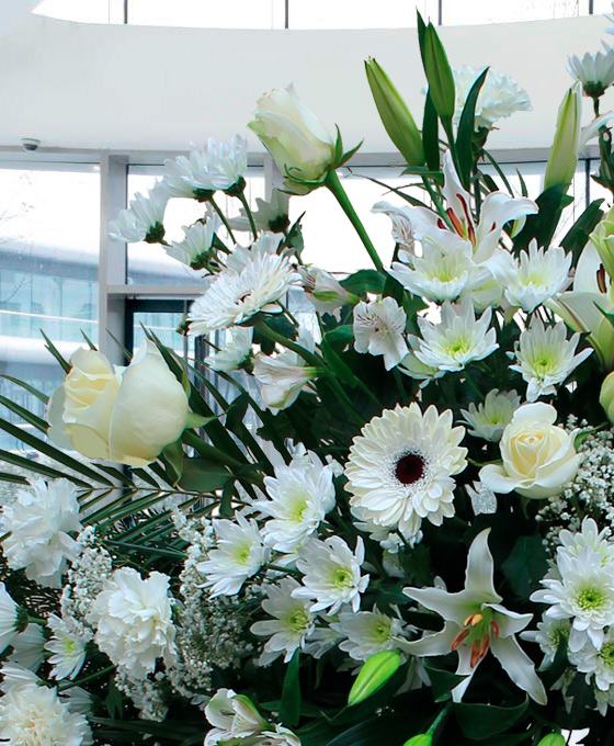 Corona de clavel blanco para funeral en Gijón, Corona Funeraria blanca Superior, Flores Blancas para Tanatorio