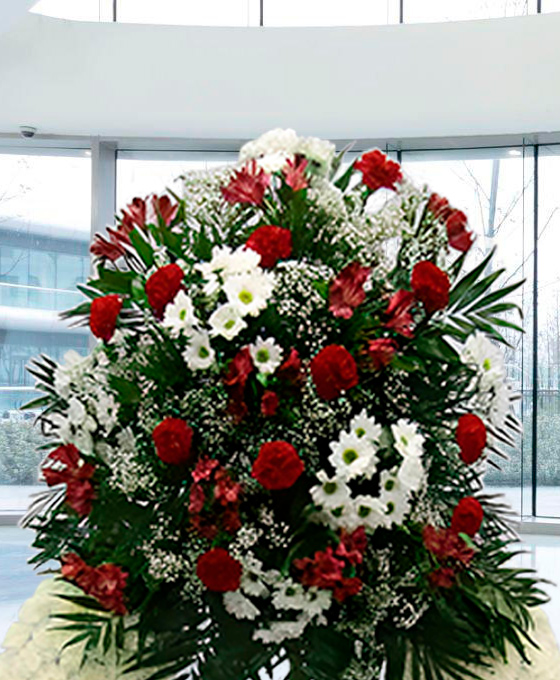 Corona funeraria de clavel variada blanca en Gijón